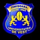 Timisoara Saracens Logo